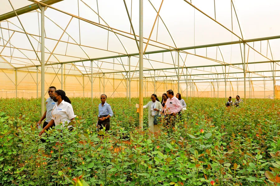 Agriculture and agro-processing